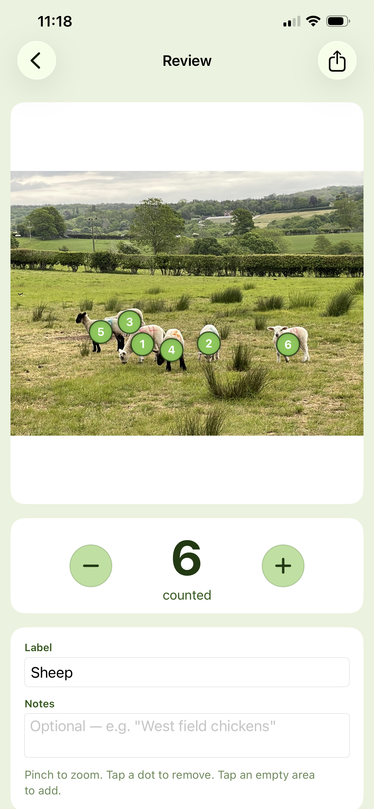 Herdcount review screen — 6 sheep detected with numbered green dots on each animal